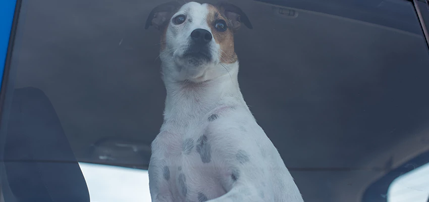 Car Lockout Solutions in Yuba City, California